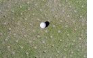 turfgrass cultural practice photograph 10