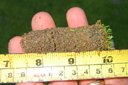turfgrass cultural practice photograph 02